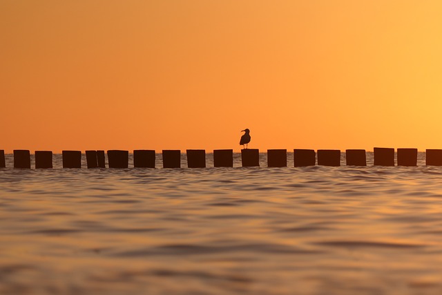 Spend Summer in Newport Beach